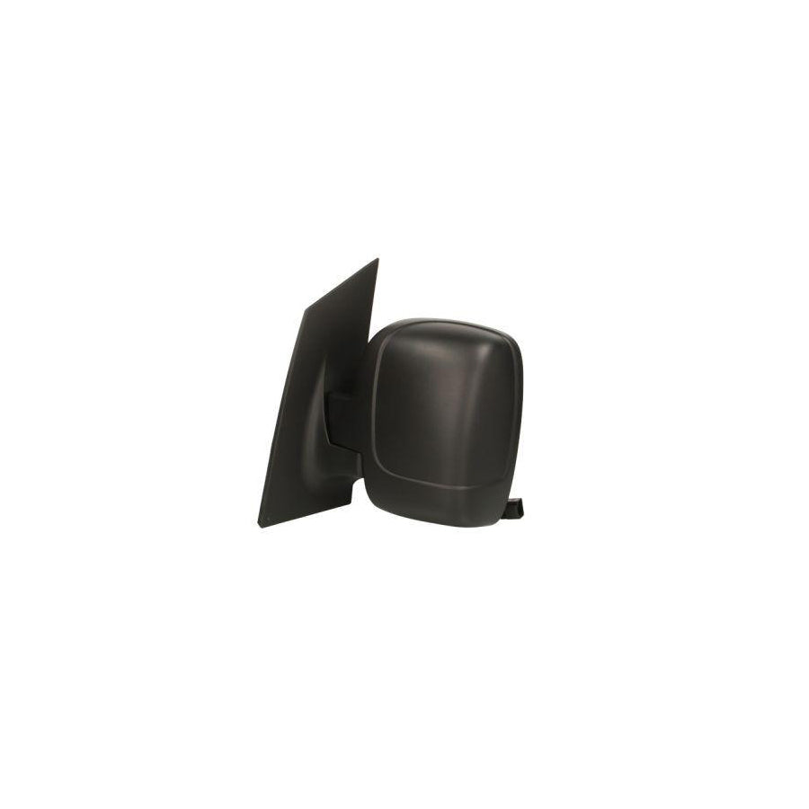 Blic 5402-04-9222956P Wing Mirror