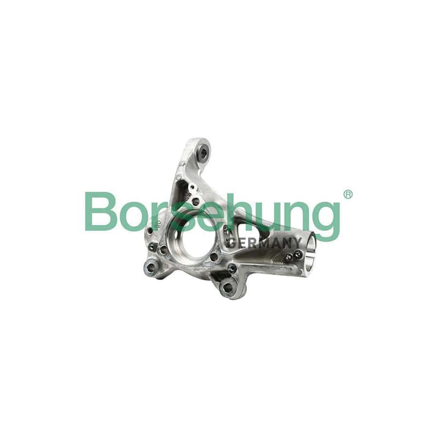 Borsehung B18511 Steering Knuckle