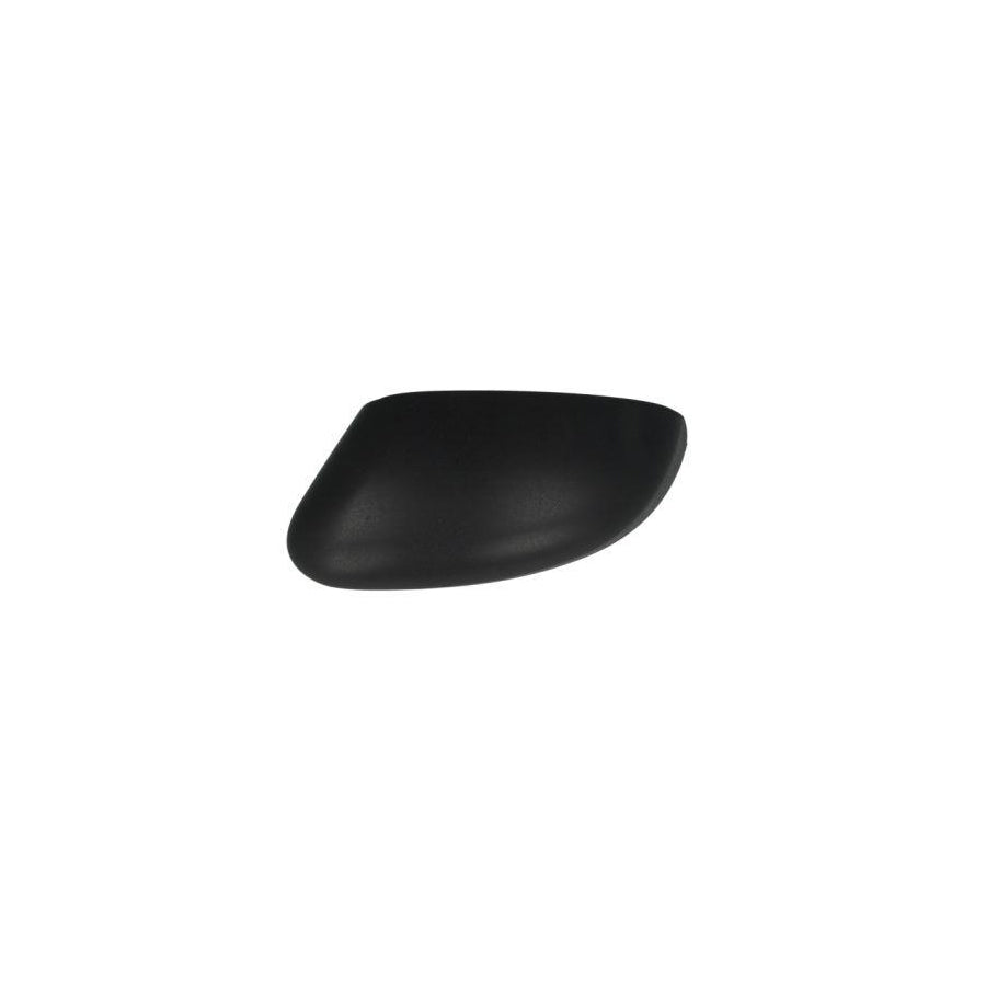 Blic 6103-01-1323291P Housing, Outside Mirror For Ford Focus