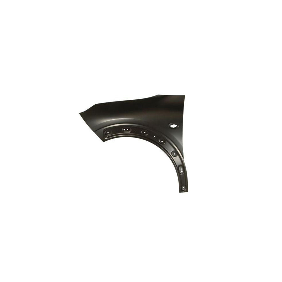 Blic 6504-04-0540311P Wing Fender For Citroen C4 II Cactus