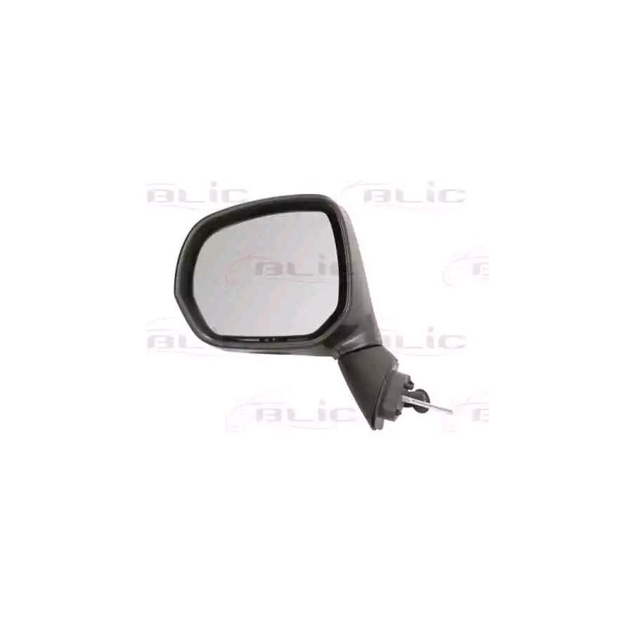 Blic 5402-21-037363P Wing Mirror For Citroen C3 Picasso