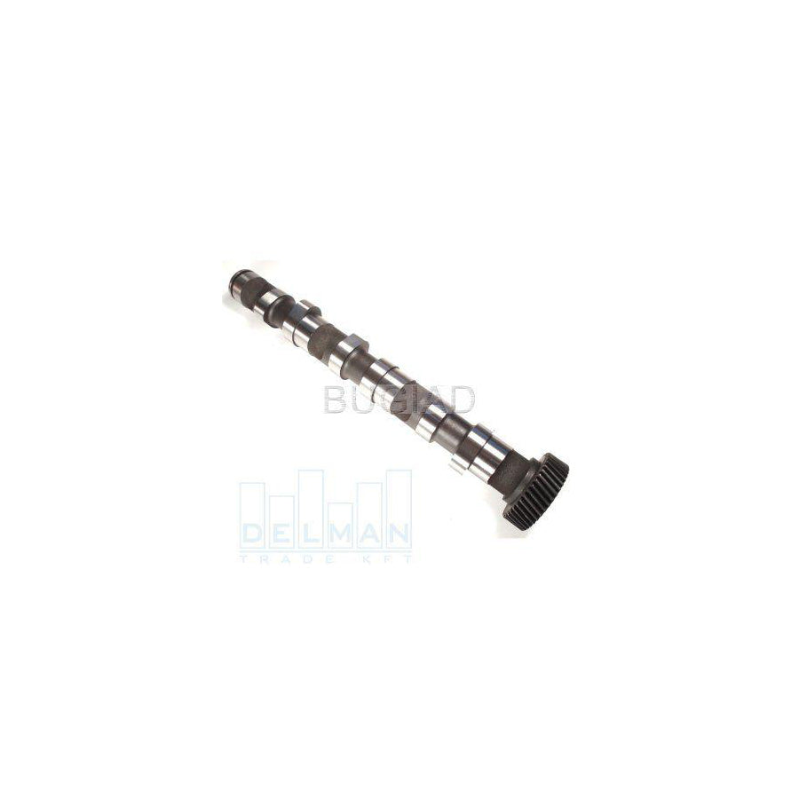 Bugiad BSP23272 Camshaft