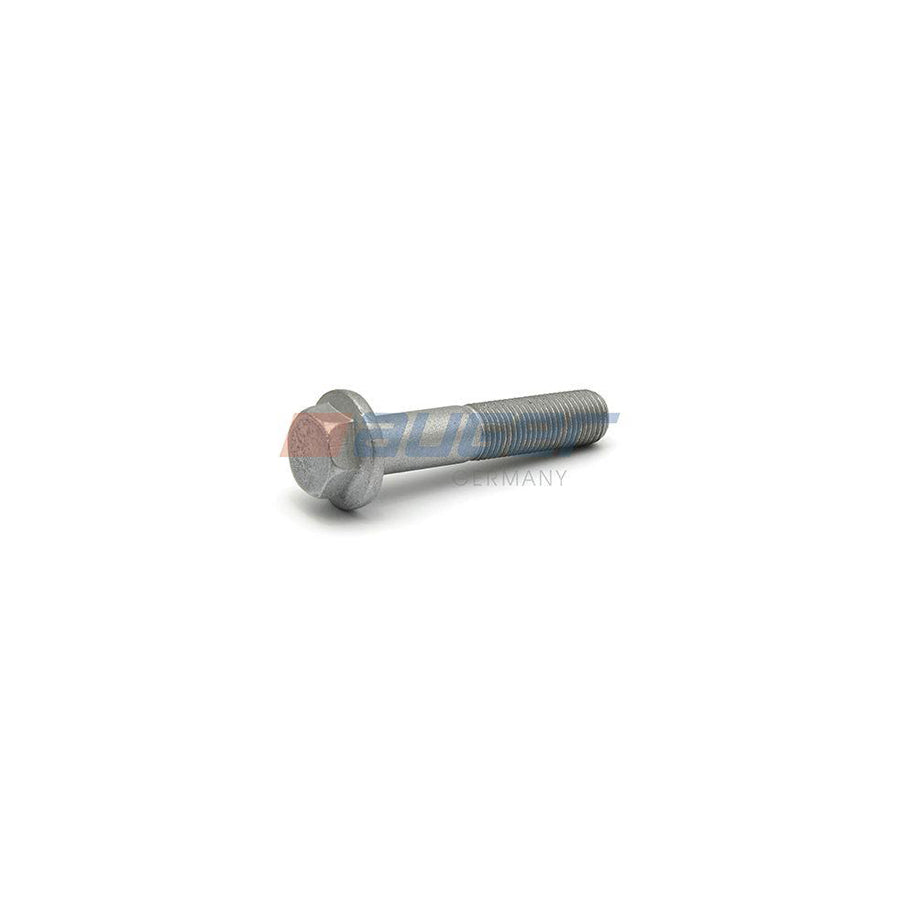 Auger 51527 Screw