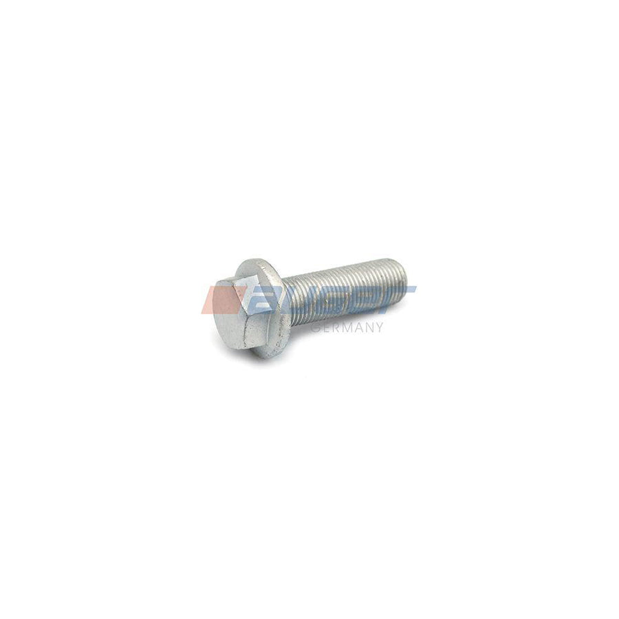 Auger 51523 Screw