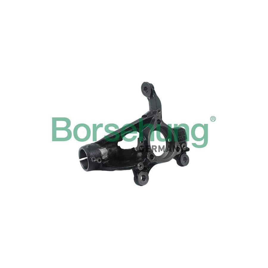 Borsehung B18508 Steering Knuckle