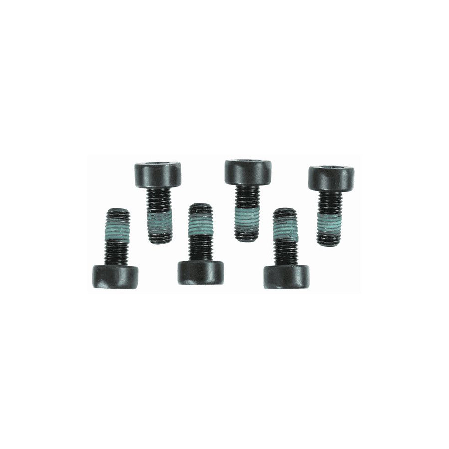 Sachs 1874 000 004 Screw Set, Flywheel