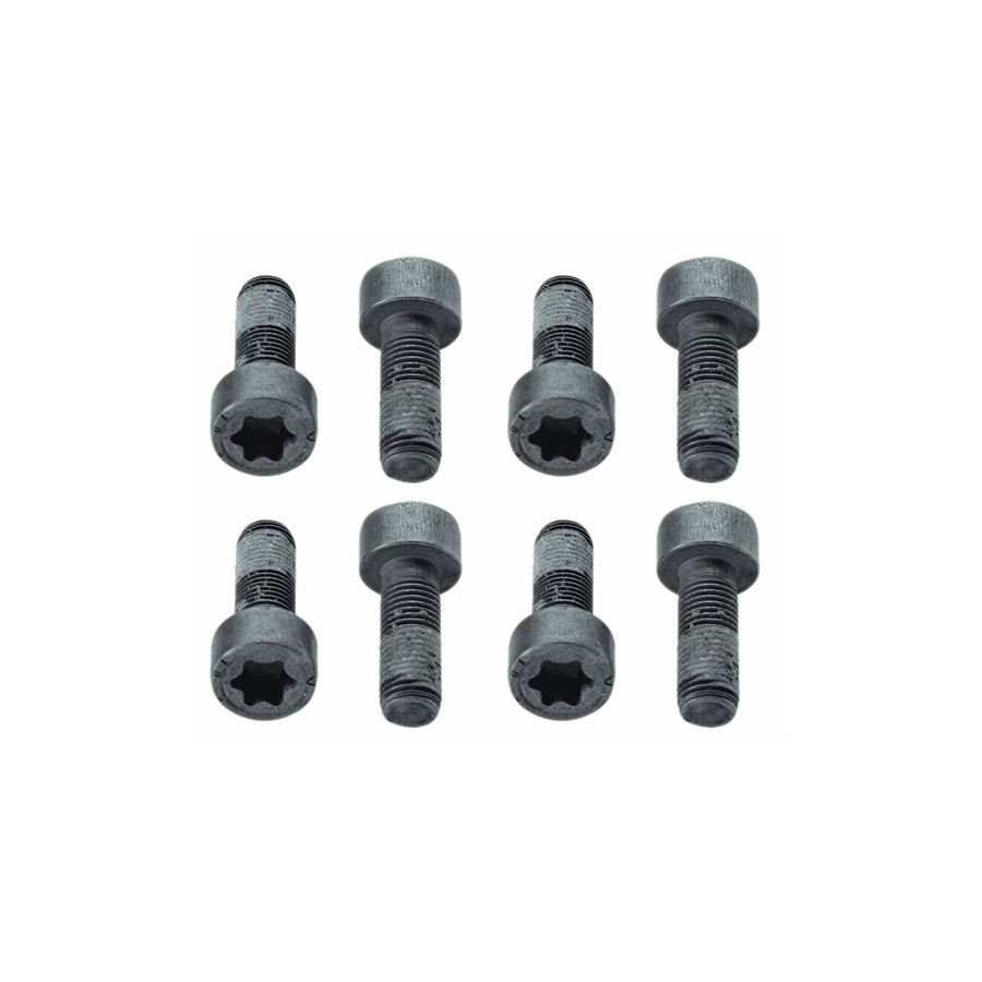 Sachs 1874 000 010 Screw Set, Flywheel