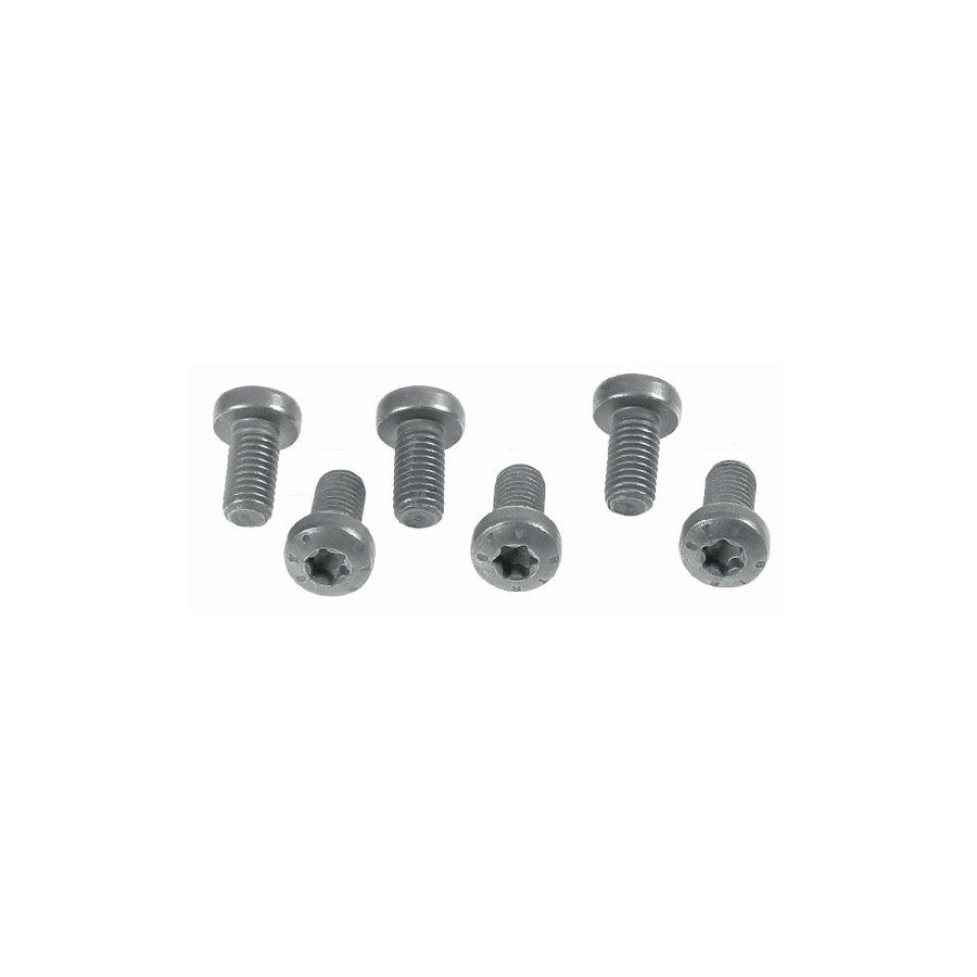 Sachs 1874 000 009 Bolt Kit, Clutch