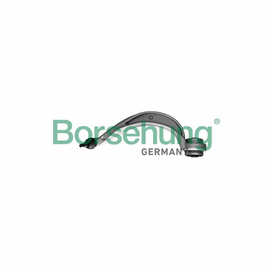 Borsehung B10841 Suspension Arm