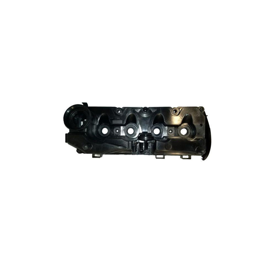 Bugiad BSP25199 Rocker Cover