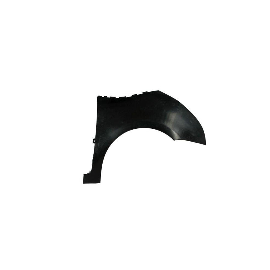 Blic 6504-04-0538312Q Wing Fender For Citroen C4