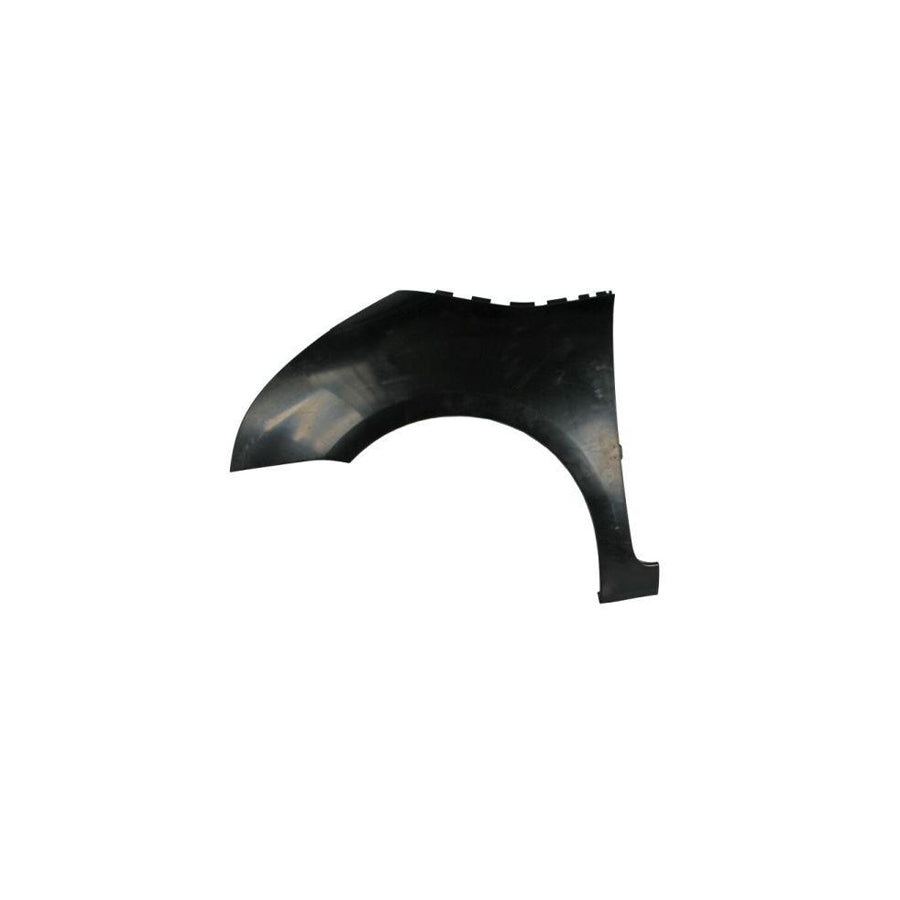 Blic 6504-04-0538311Q Wing Fender For Citroen C4