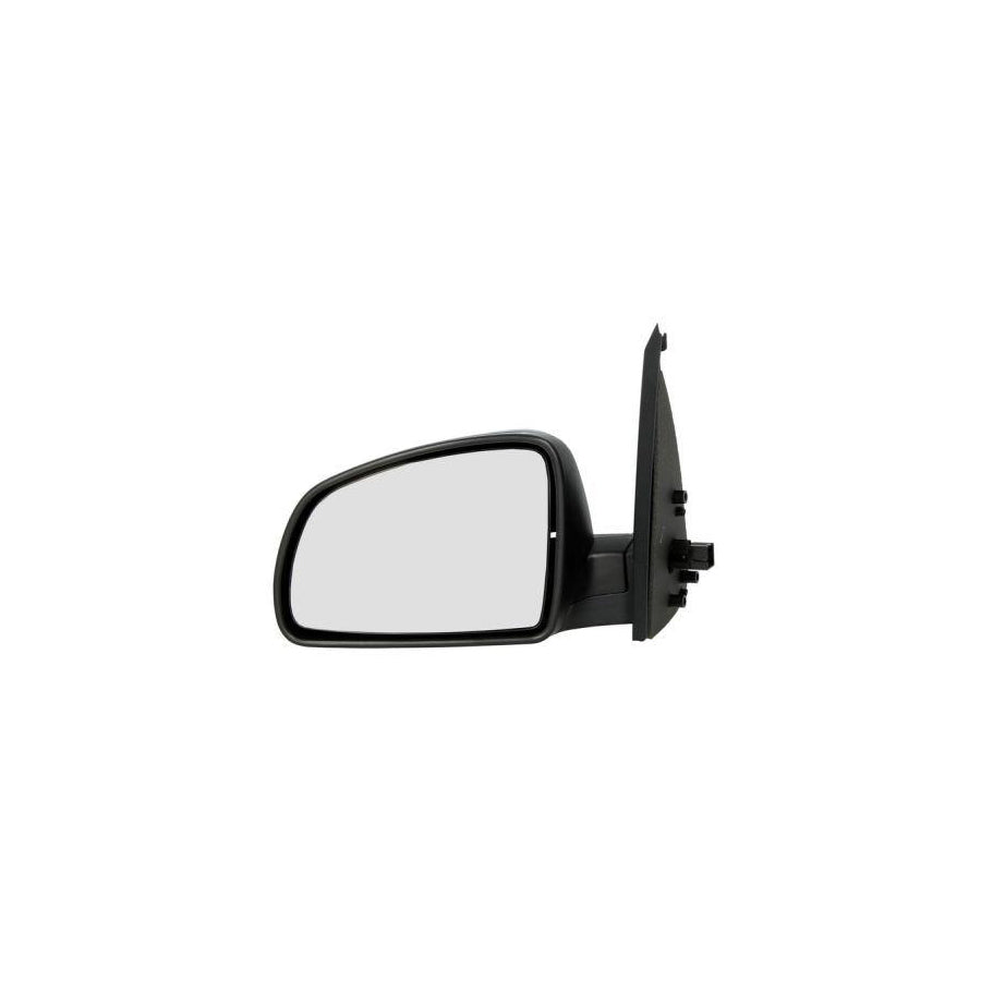 Blic 5402-04-9225752 Wing Mirror For Opel Meriva A (X03)