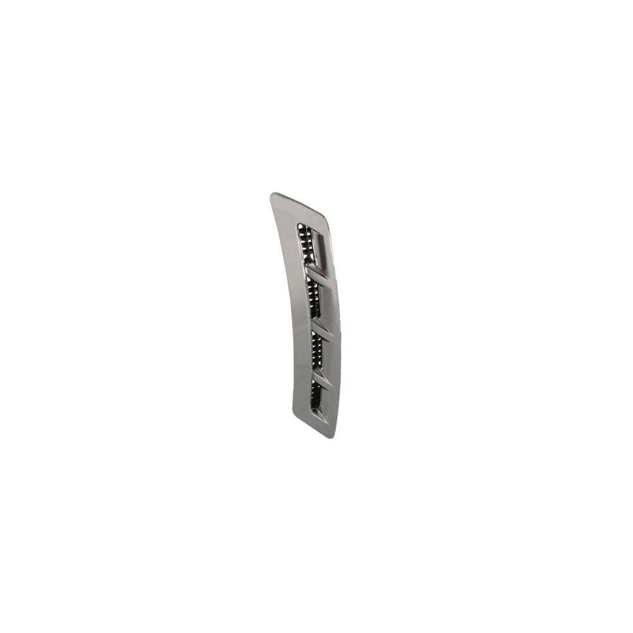 Blic 5703-04-9802421P Trim / Protective Strip, Mudguard