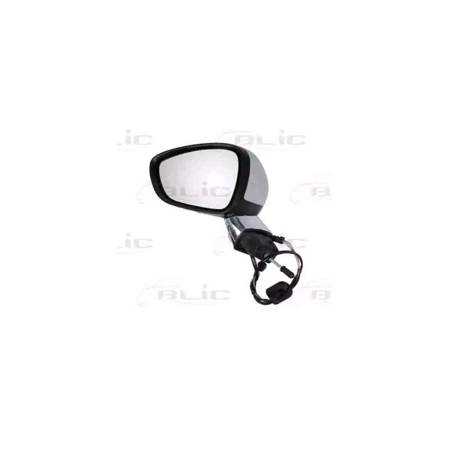 Blic 5402-21-039361P Wing Mirror For Citroen C3