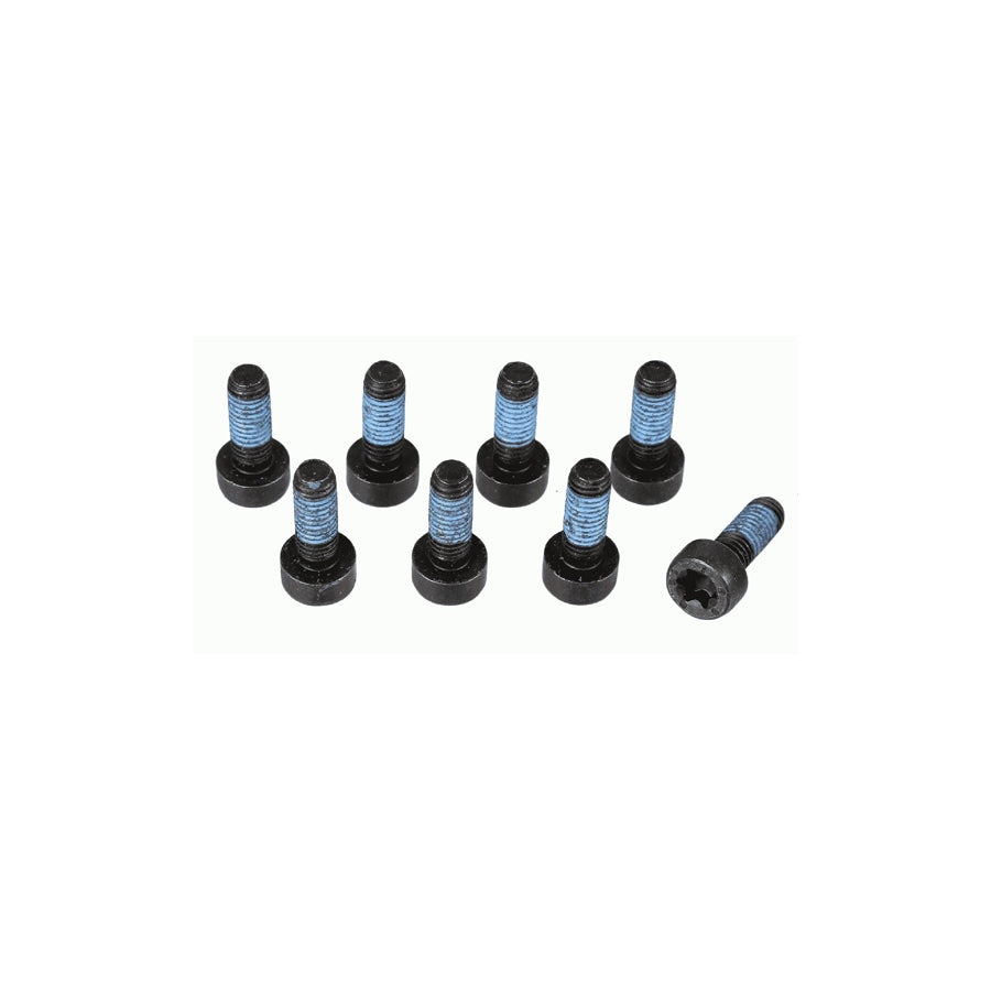 Sachs 1874 000 073 Screw Set, Flywheel