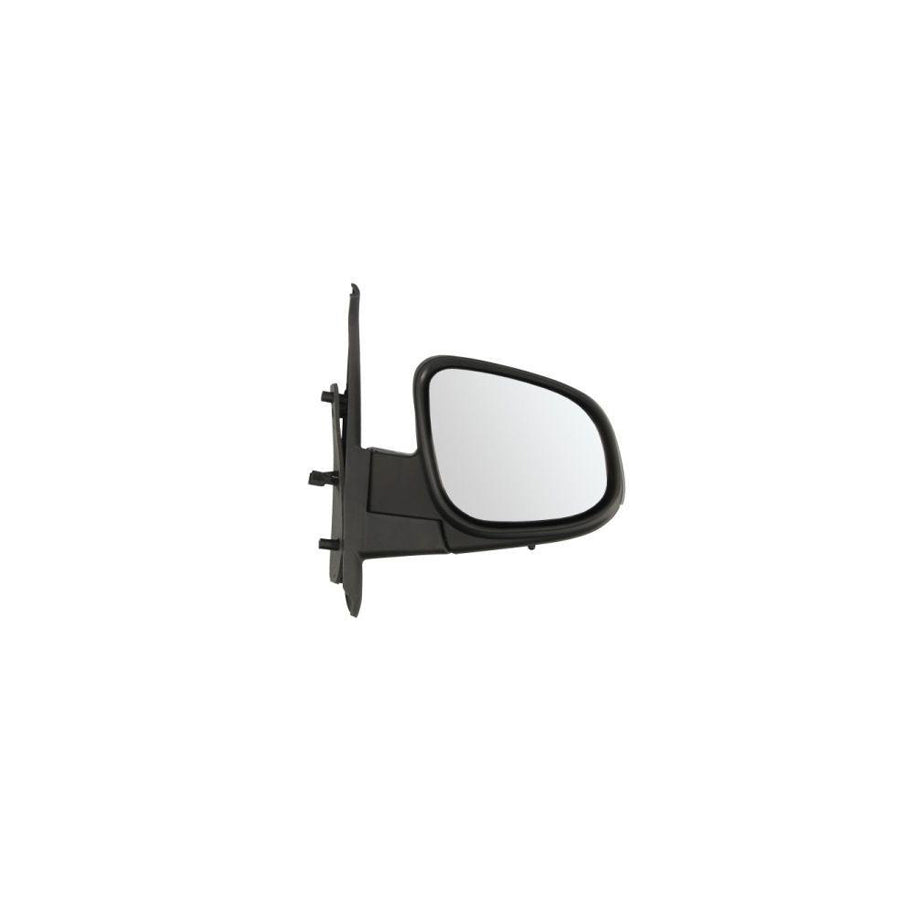 Blic 5402-02-2001756P Wing Mirror