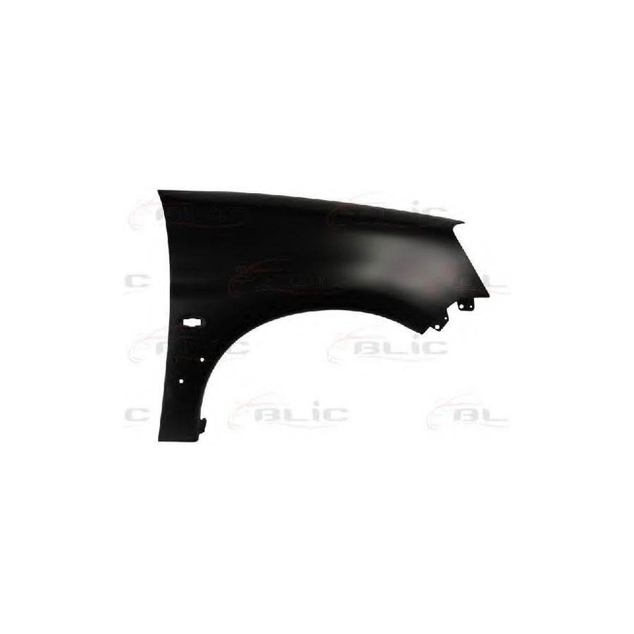 Blic 6504-04-0551318P Wing Fender