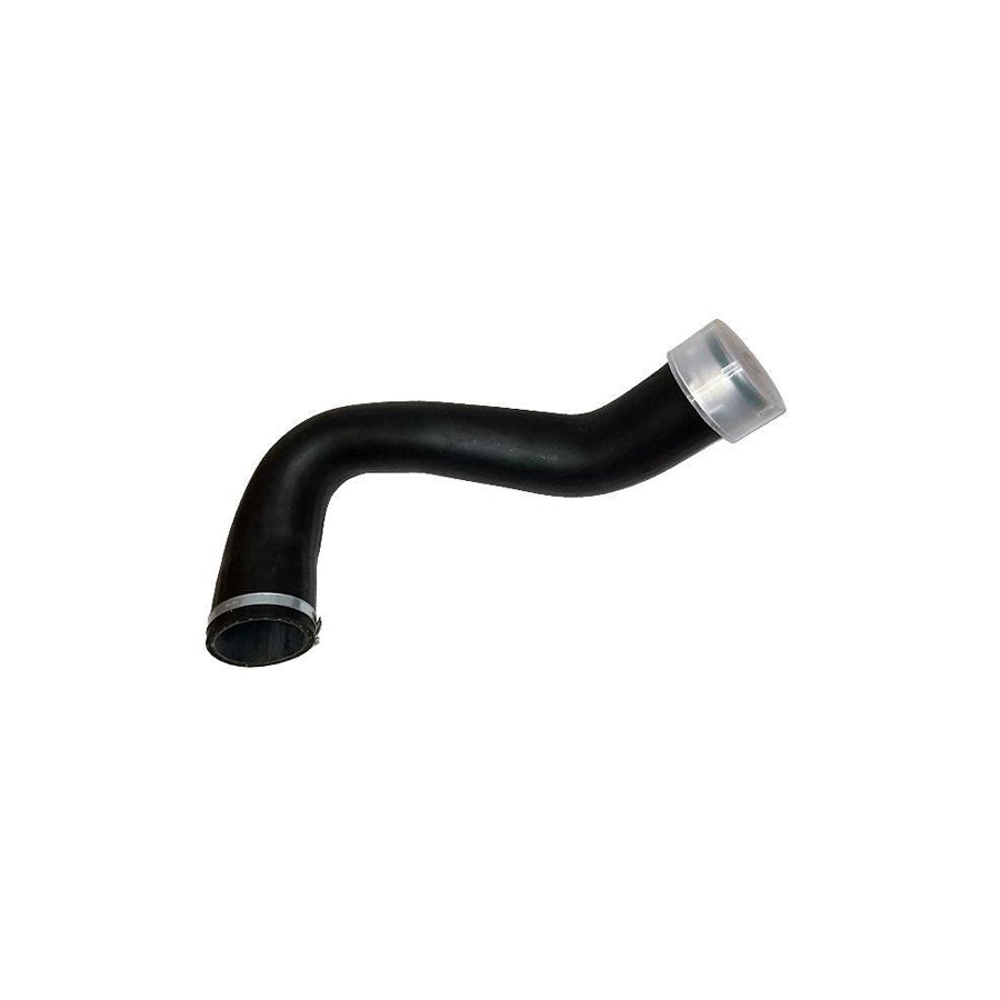 Bugiad 87612 Charger Intake Hose For Vw Touareg I (7La, 7L6, 7L7)