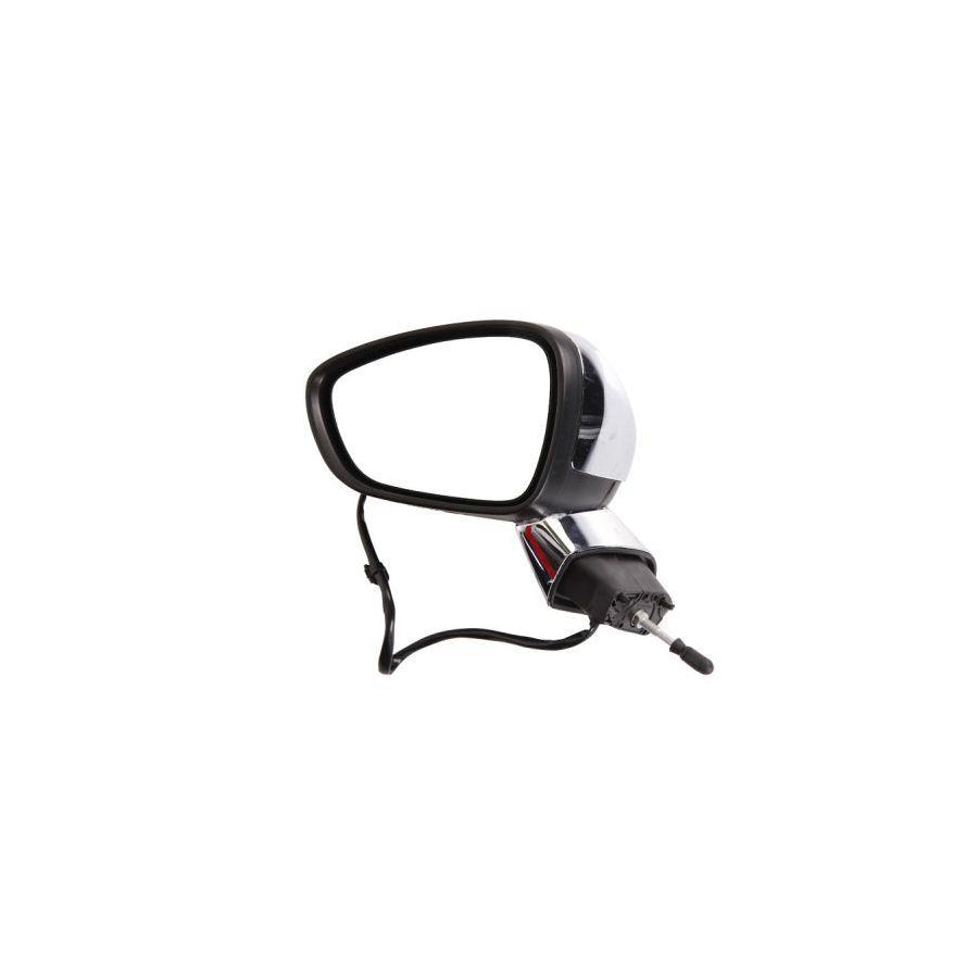 Blic 5402-21-039339P Wing Mirror For Citroen C3