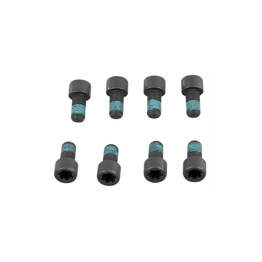 Sachs 1874 000 078 Screw Set, Flywheel