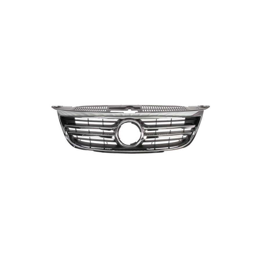 Blic 6502-07-9548990P Radiator Grille