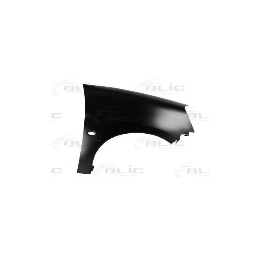 Blic 6504-04-0551314P Wing Fender