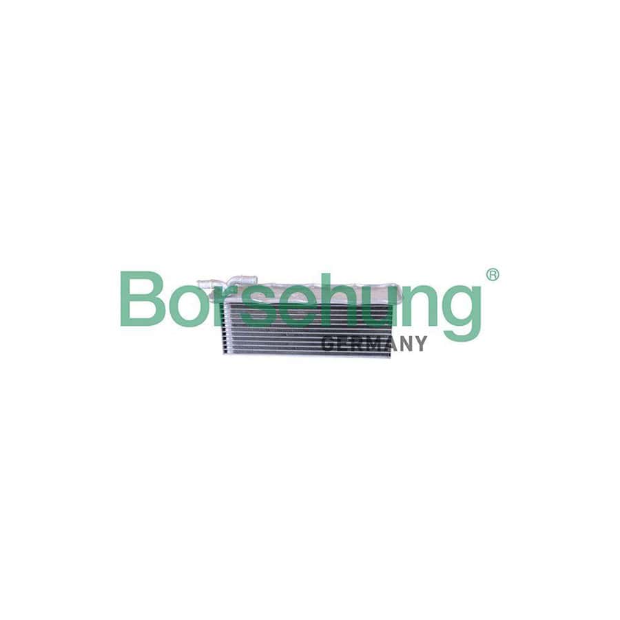 Borsehung B10880 Intercooler