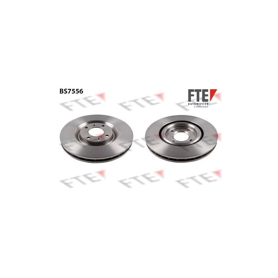 Fte 9071202 Brake Disc For Peugeot 406 Coupe | ML Performance UK Car Parts