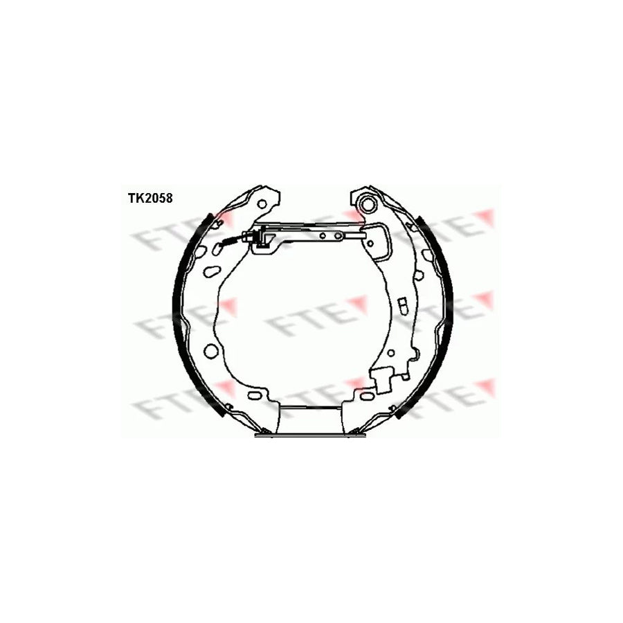 Fte 9110018 Brake Shoe Set | ML Performance UK Car Parts