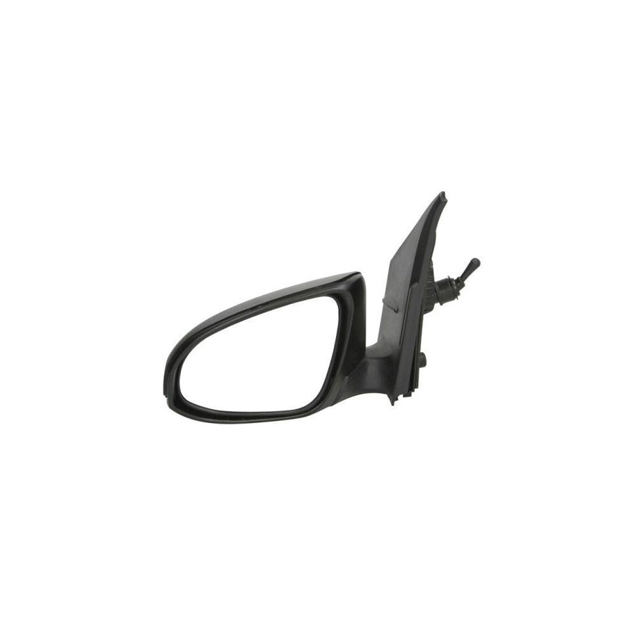 Blic 5402-21-045361P Wing Mirror