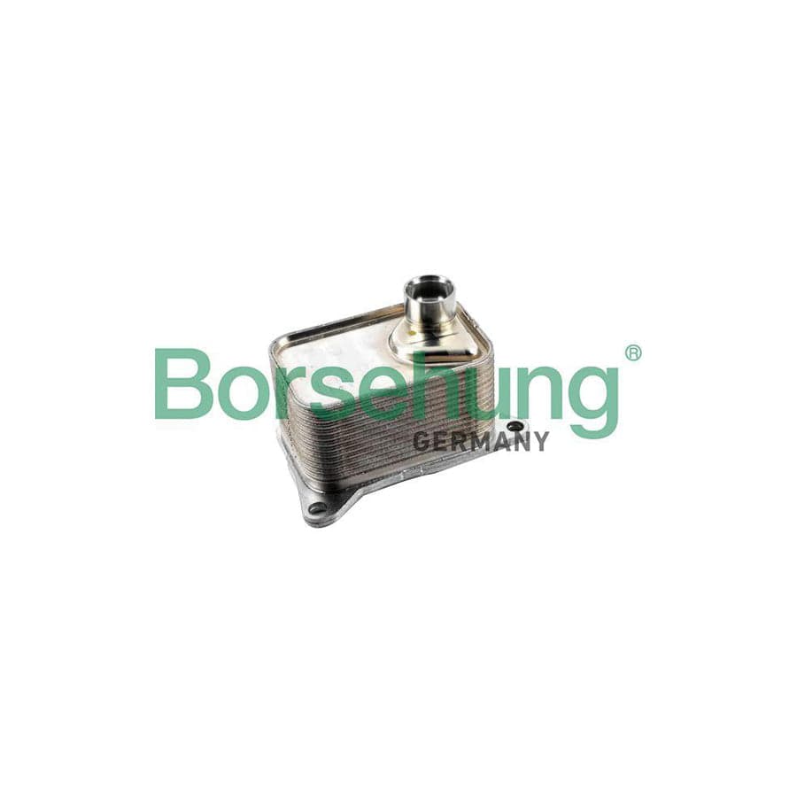 Borsehung B10877 Engine Oil Cooler