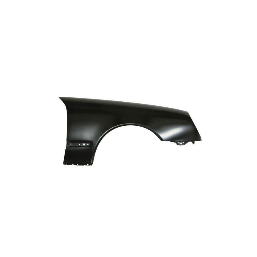 Blic 6504-04-3527312P Wing Fender Suitable For Mercedes-Benz E-Class