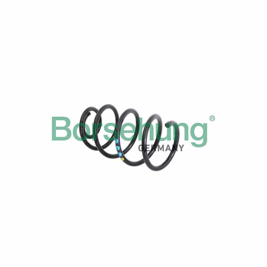 Borsehung B11087 Coil Spring