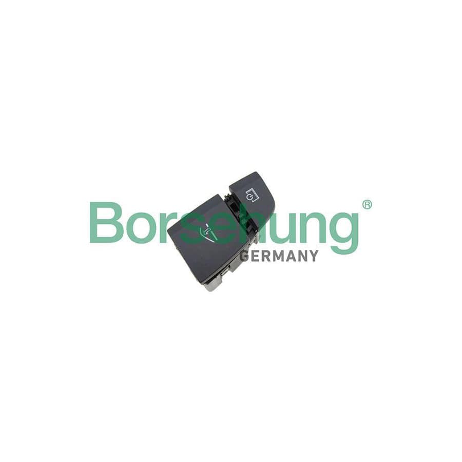 Borsehung B18569 Multi-Function Switch