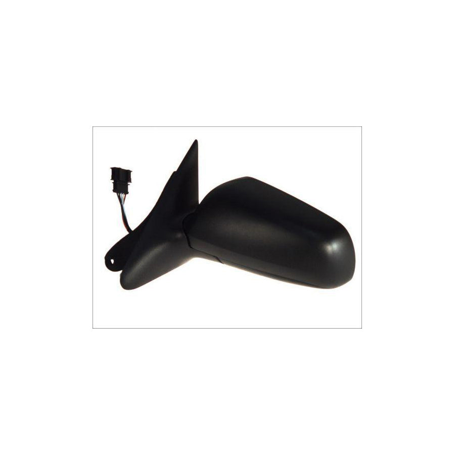 Blic 5402-04-1125521P Wing Mirror For Skoda Octavia