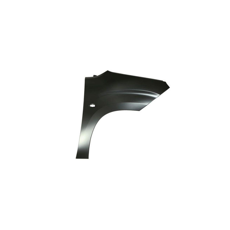 Blic 6504-04-0554312Q Wing Fender