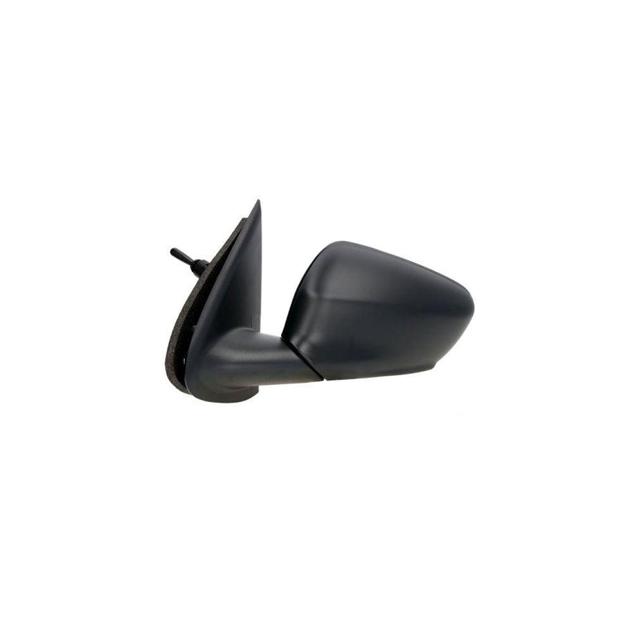 Blic 5402-21-044363P Wing Mirror