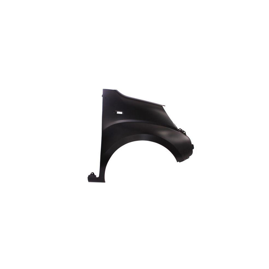 Blic 6504-04-0553314P Wing Fender