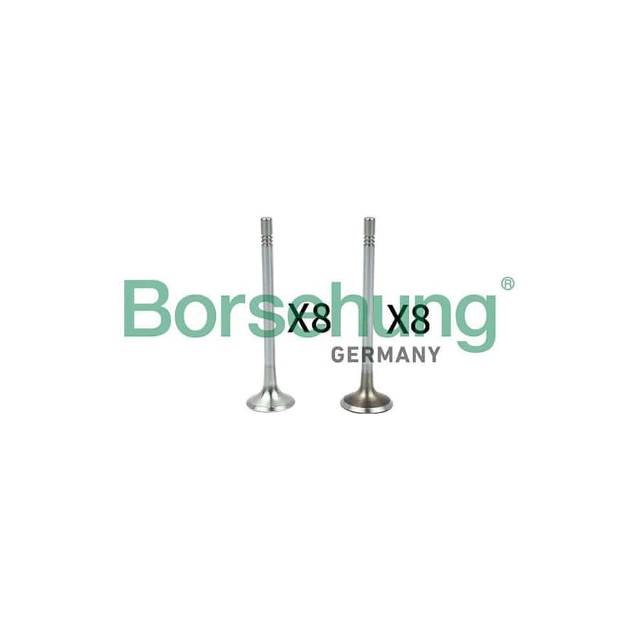 Borsehung B18629 Valve