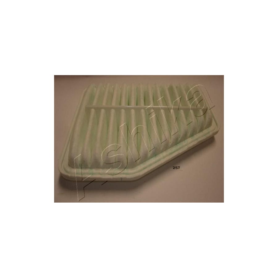 ASHIKA 20-02-257 Air Filter | ML Performance UK Car Parts