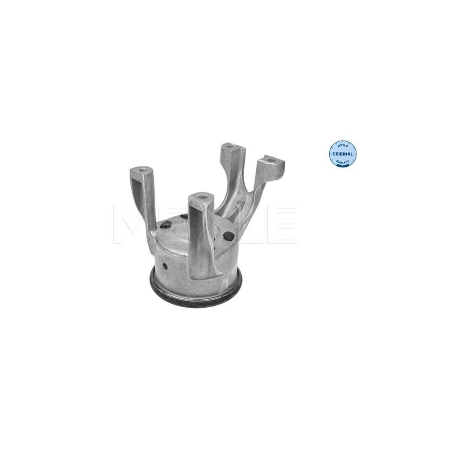 Meyle 100 199 0222 Engine Mount