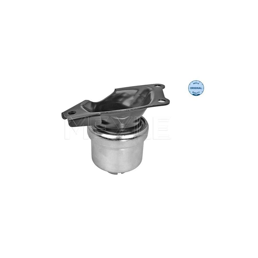 Meyle 100 199 0223 Engine Mount