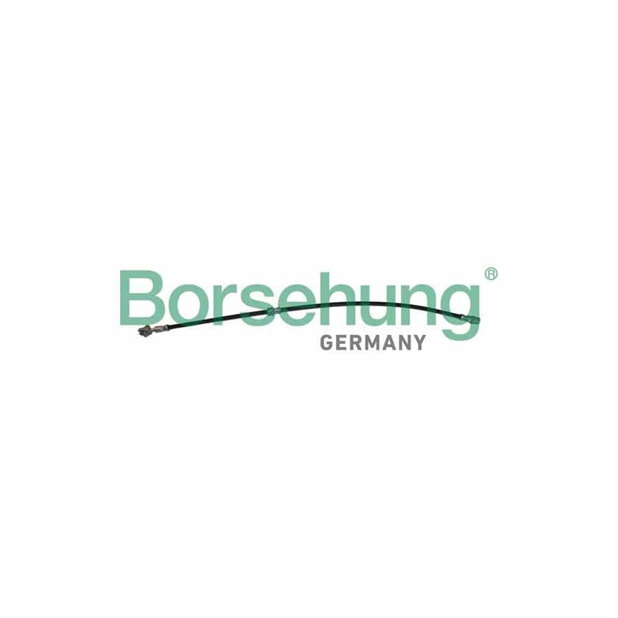 Borsehung B10952 Brake Hose