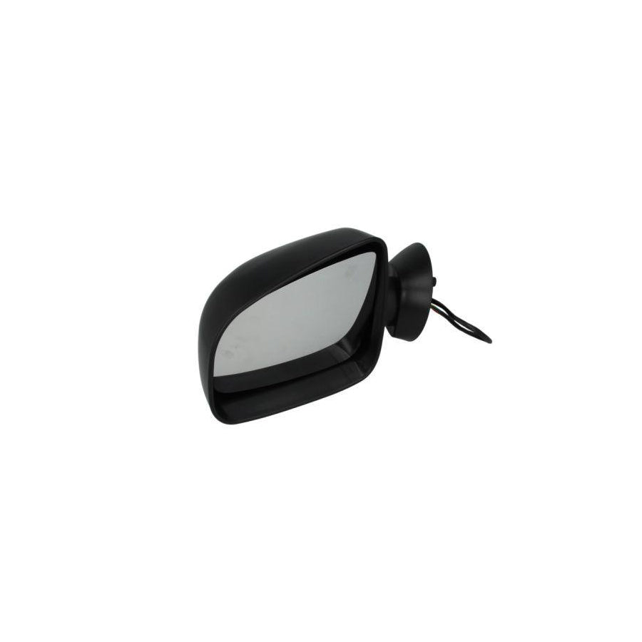 Blic 5402-04-1125594 Wing Mirror