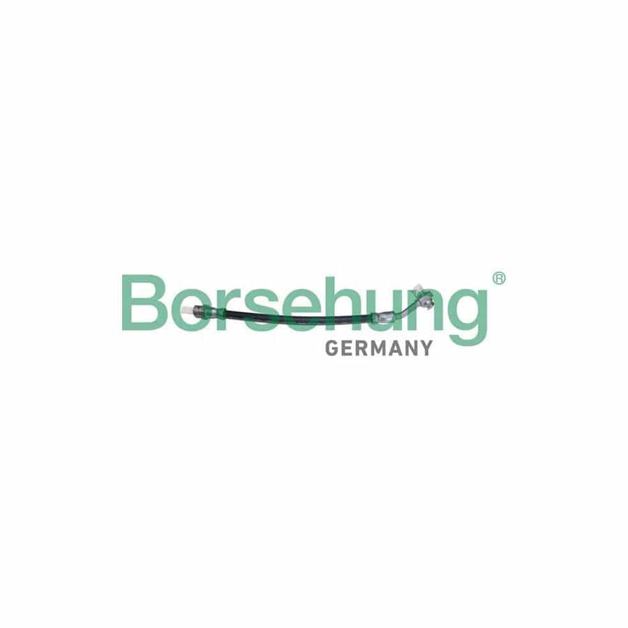 Borsehung B10949 Brake Hose