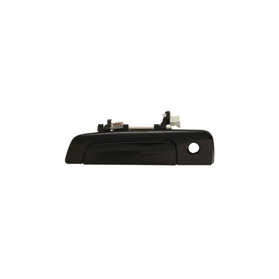 Blic 6010-15-029401P Door Handle