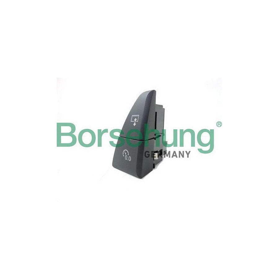 Borsehung B18599 Multi-Function Switch