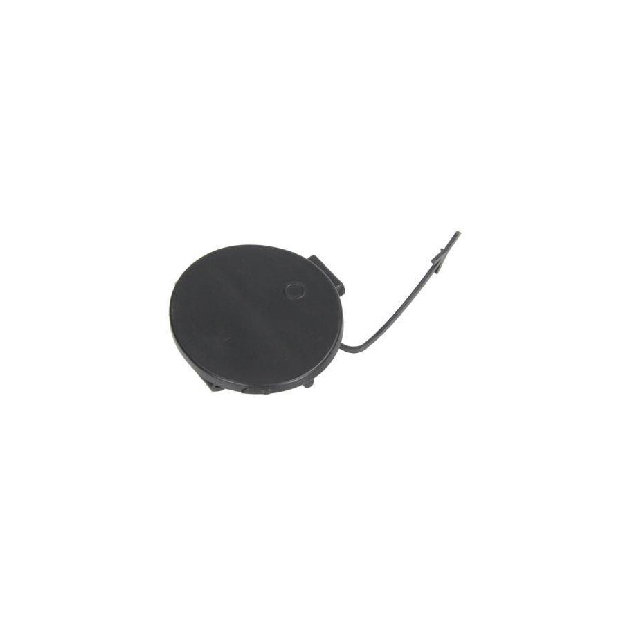 Blic 5513-00-5078921P Flap, Tow Hook