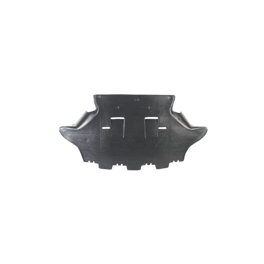 Blic 6601-02-0016860P Engine Cover